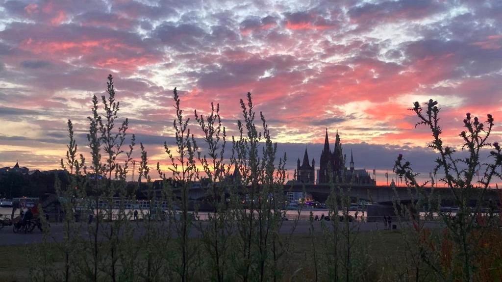 Durch die Augen einer&nbsp;13-Jährigen